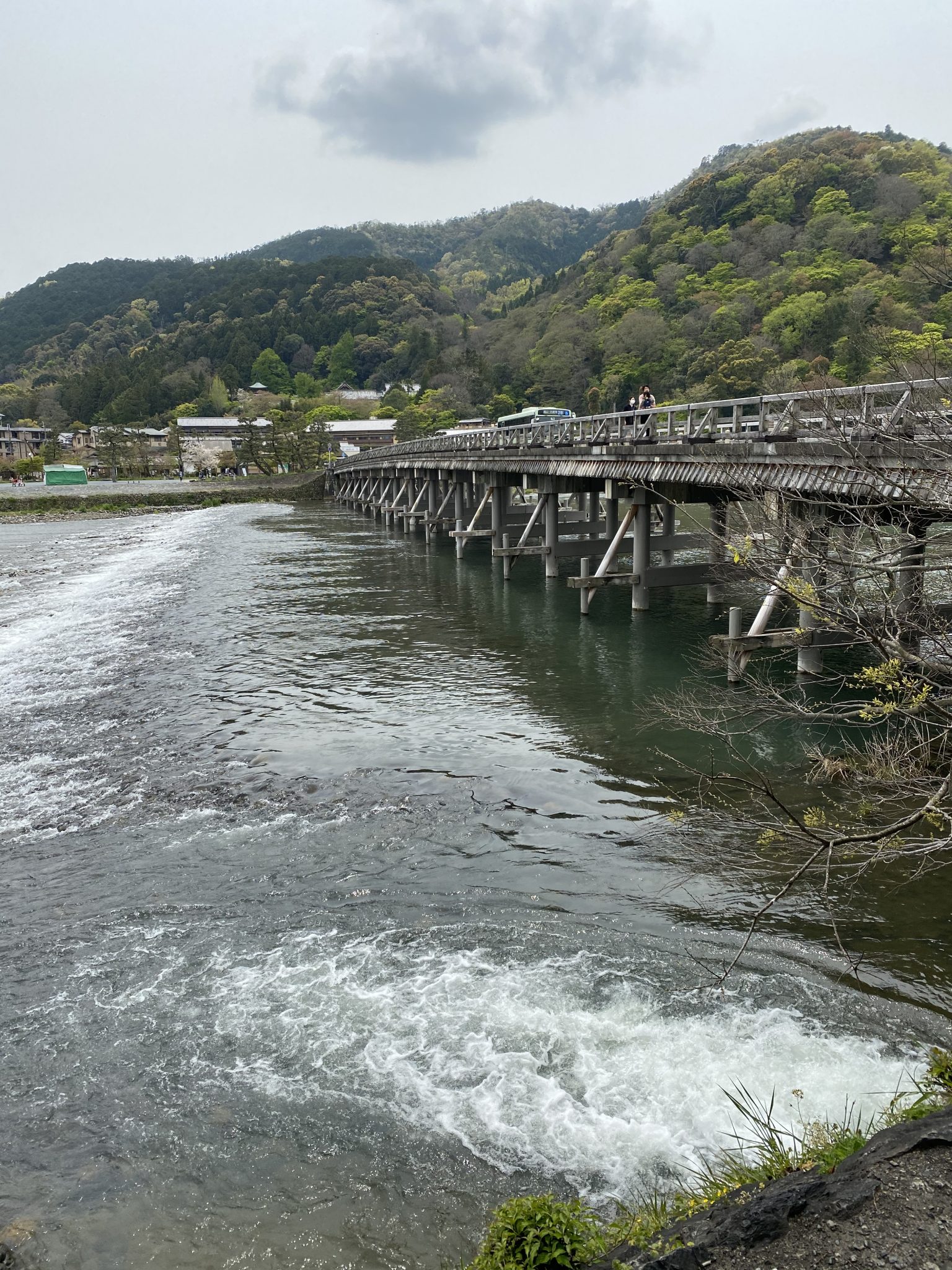 Togetsukyo Bridge | Enjoy Kyoto Night & Day