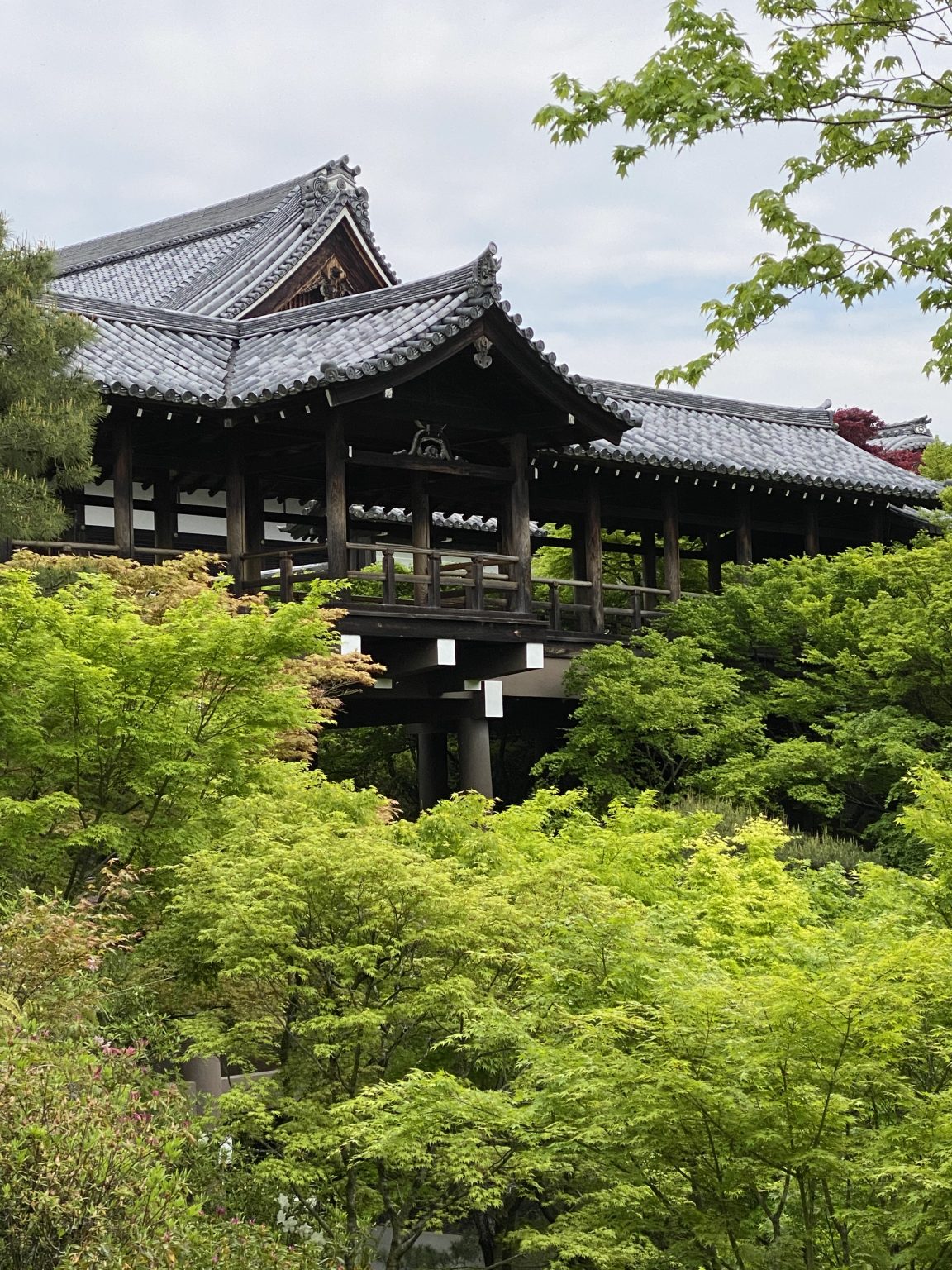 Tofukuji Temple | Enjoy Kyoto Night & Day