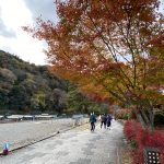 Arashiyamadistrict