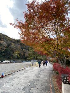 Arashiyamadistrict