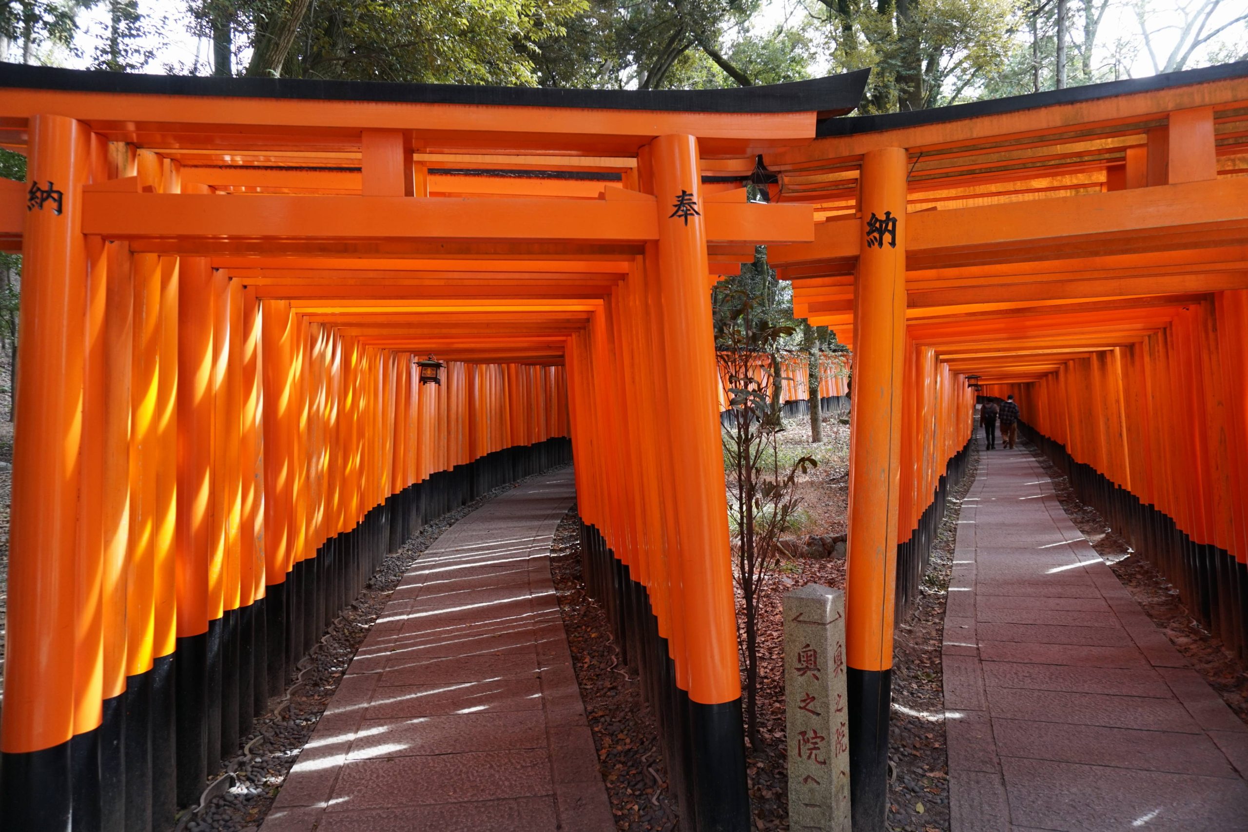 Fushimi-inari shrine